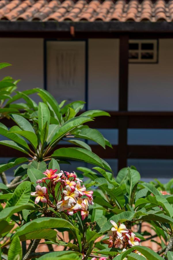 Villa Alexandre Pousada - ตรันโกโซ ภายนอก รูปภาพ
